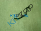 ������ �������