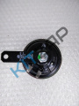 ������ �������� ������ ���